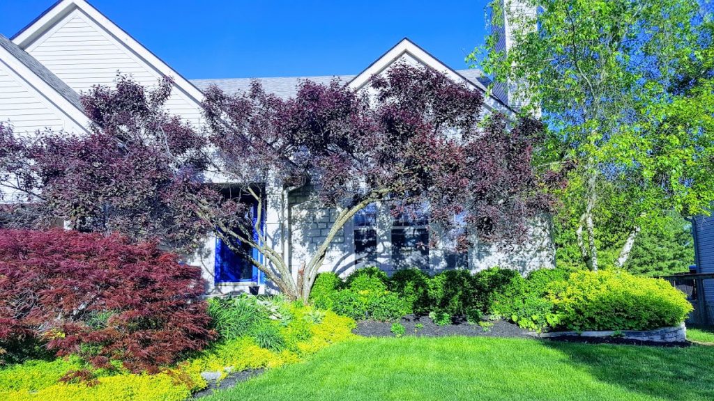 Front view of house in Pickerington, Ohio