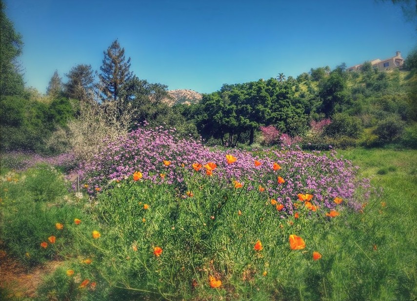 A Day Trip To Santa Barbara (And A Few Minutes At Oprah’s House