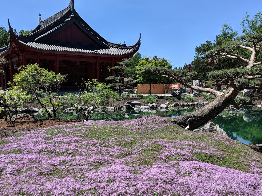 Japanese Garden at Montreal Botanical Garden