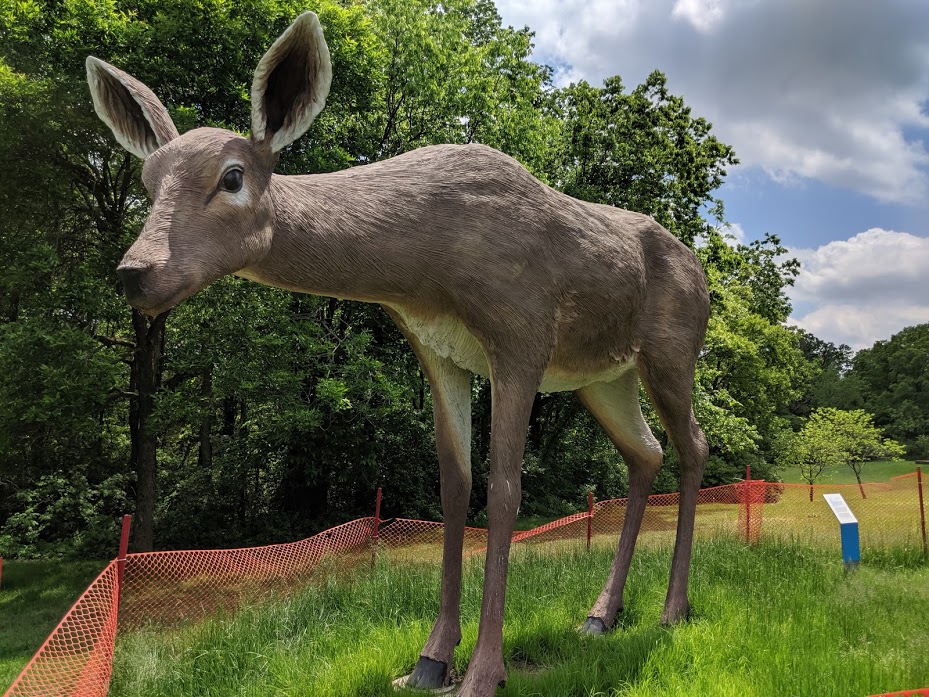 Giant deer sculpture at Laumeier Sculpture Park in St. Louis