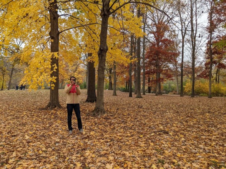 Exploring Fall Foliage In Ann Arbor, Michigan - DewanGibson.Com