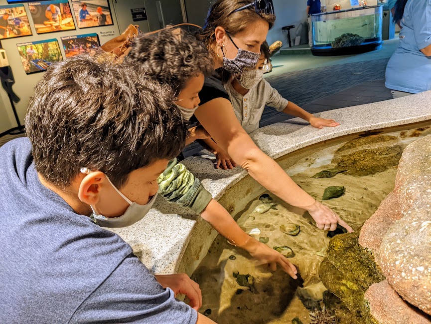 Family touching fish at Fort Fisher Aquarium. 