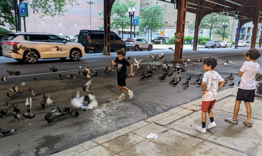 kids scaring pigeons in downtown Chicago. 