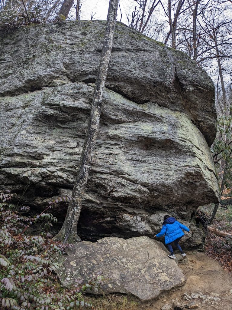 Giant "troll looking" boulder at Moore Cove Falls Trail near Asheville, North Carolina. 
