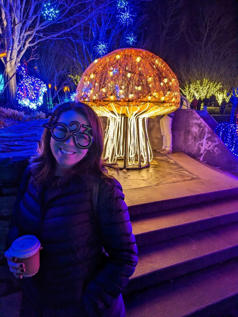 Mushroom light display at North Carolina Arboretum Winter Lights