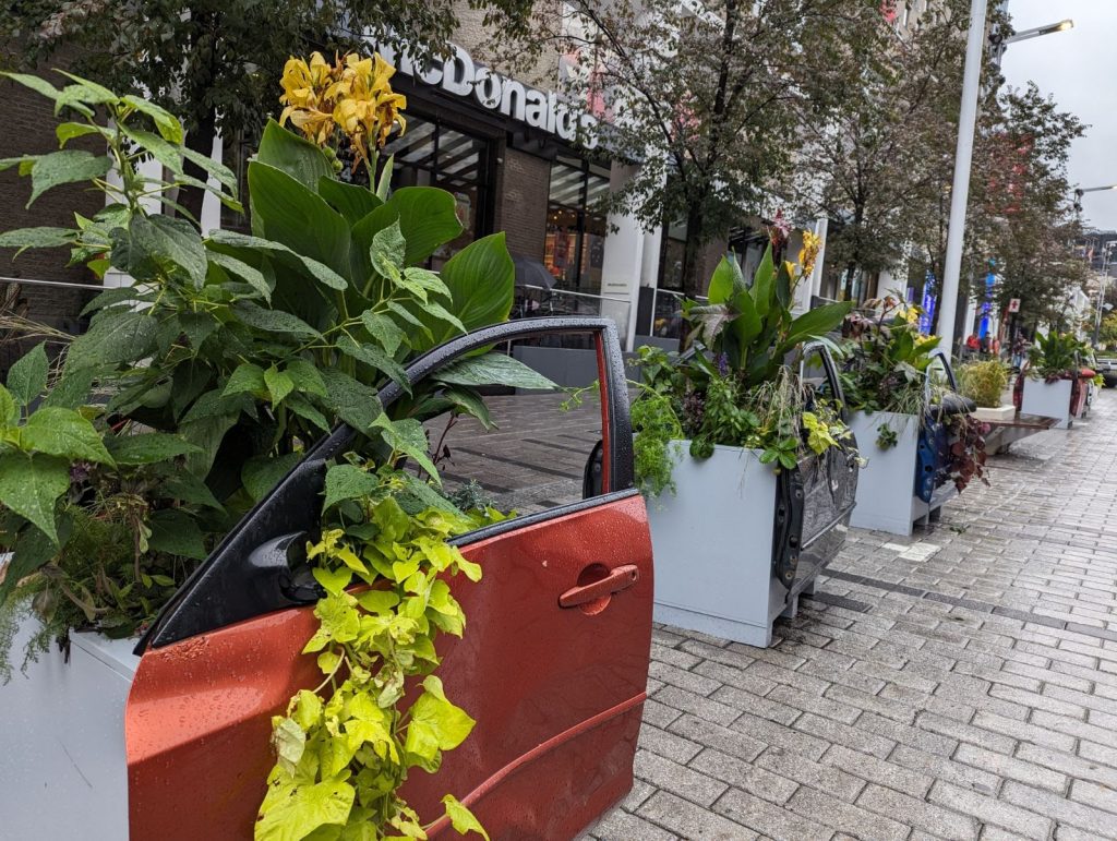 old cars being used as plant holders in Montreal